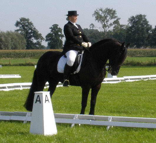 wp93abd622_0f.jpg